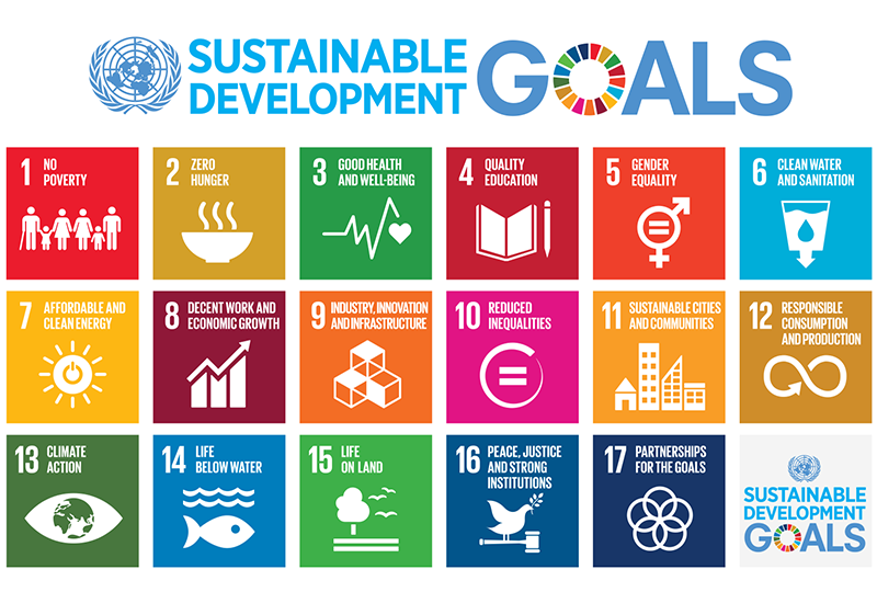 sdg goals